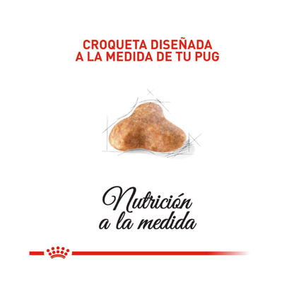 Royal Canin Pug Adulto 2,5 kg