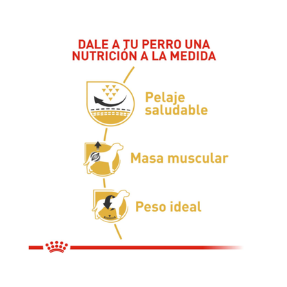 Royal Canin Pug Adulto 2,5 kg