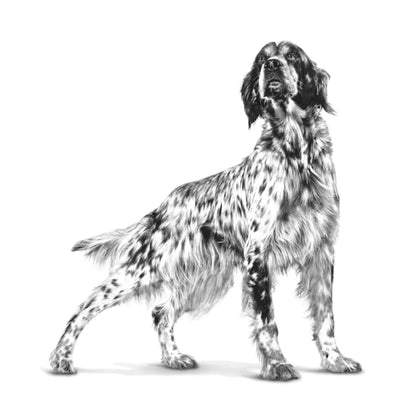 Royal Canin Satiety Weight Management Canine 6 kg