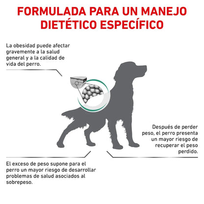 Royal Canin Satiety Weight Management Canine 6 kg