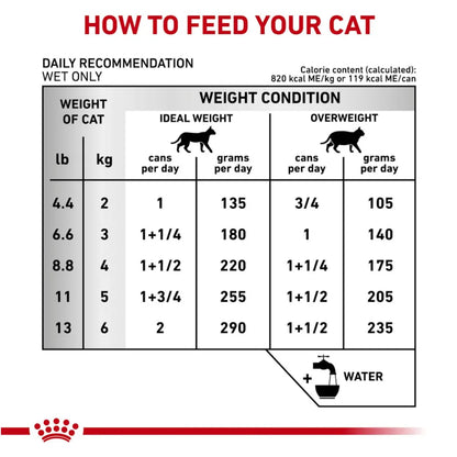 Royal Canin Urinary S/O Feline Lata 145 g