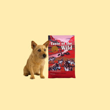 Taste Of The Wild Southwest Canyon Boar Jabalí 2 kg