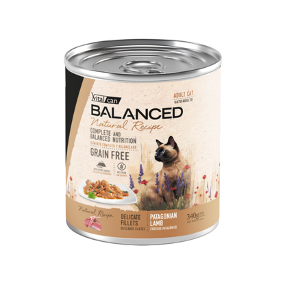 Vitalcan Natural Recipe Gato Adulto Lata 340 g