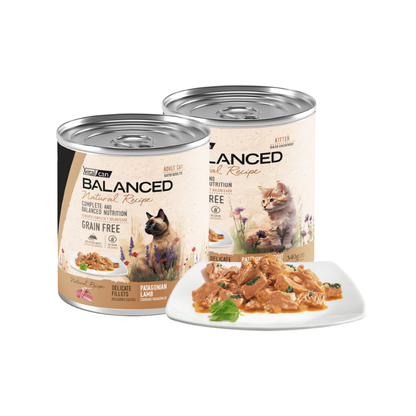Vitalcan Natural Recipe Gato Adulto Lata 340 g