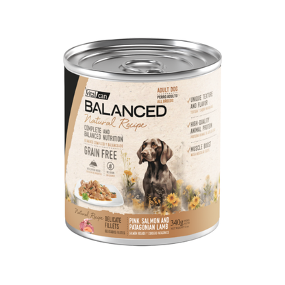 Vitalcan Natural Recipe Perro Adulto Lata 340 g