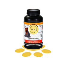 Vito Perro Adulto Polvo Oral 100 g