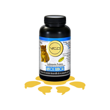 Vito Gato Junior Polvo Oral 100 g